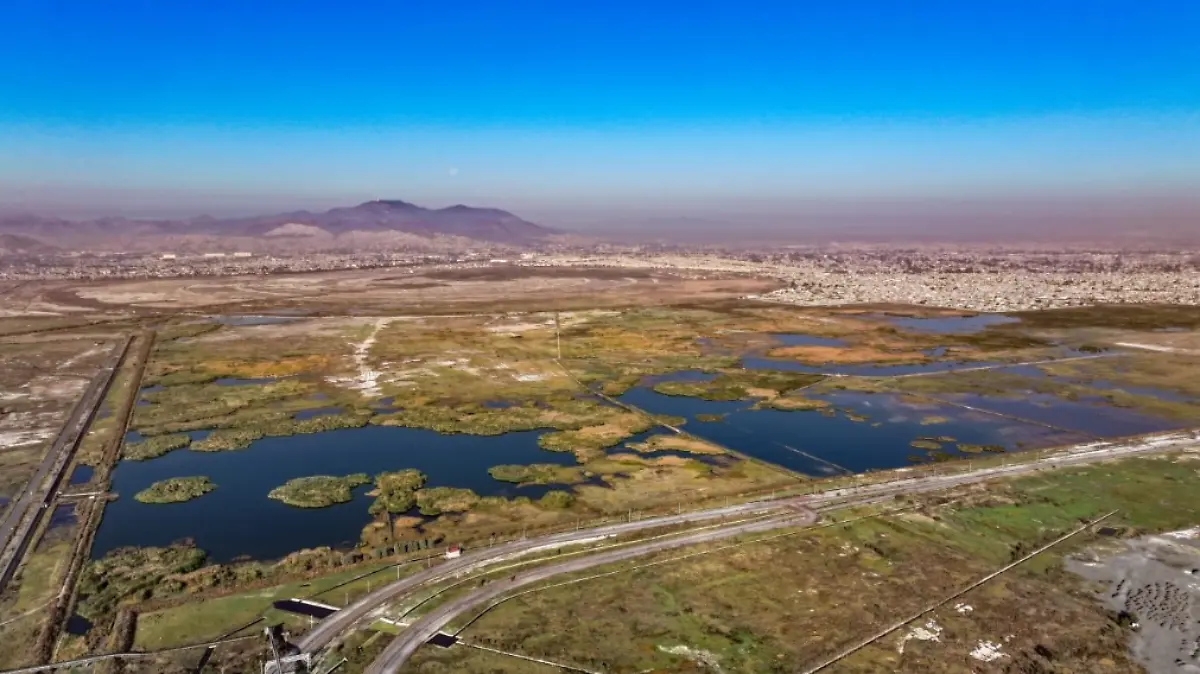 Captura de pantalla 2026-01-06 124113