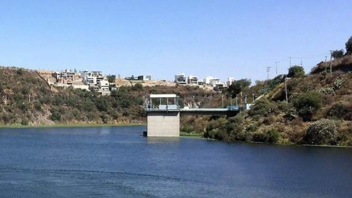 WhatsApp Image 2026-01-07 at 12.16.07 PM