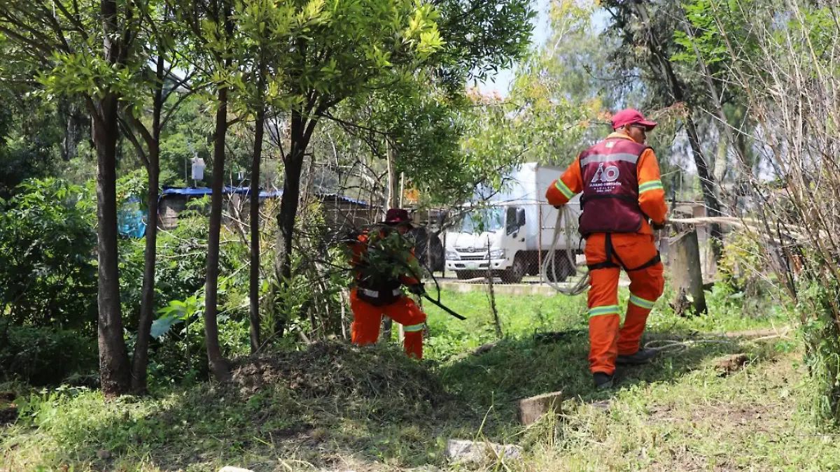 Captura de pantalla 2026-01-07 162816