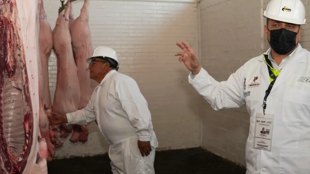 Captura de pantalla 2026-01-08 125141