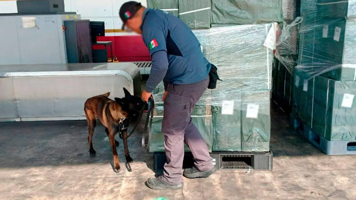 cigarros ilegal aicm CORTESIA