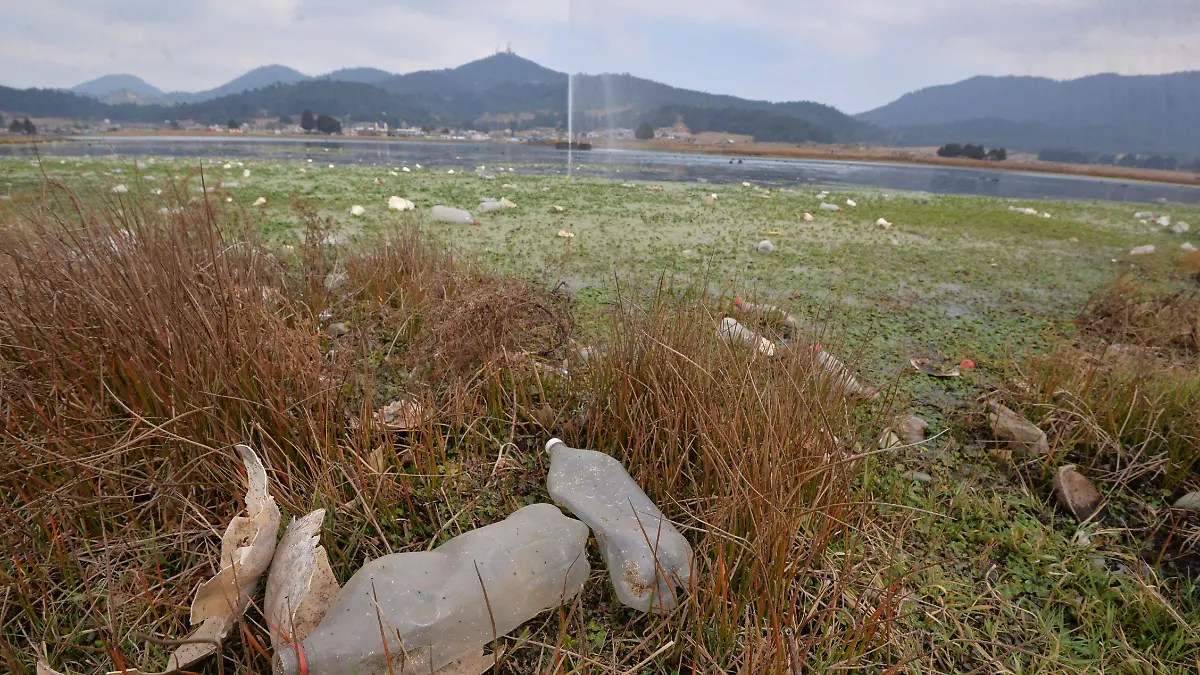 635571_Contaminación Laguna Salazar_impreso