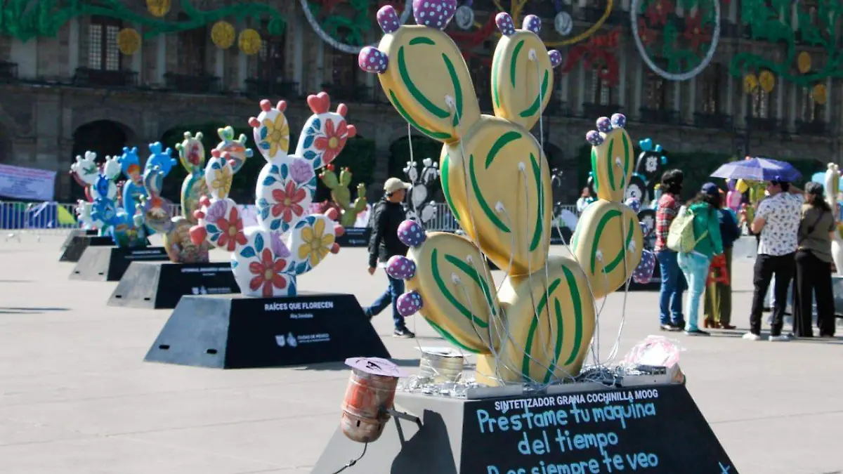 expo zocalo cdmx ROMINA SOLIS solmex (4)