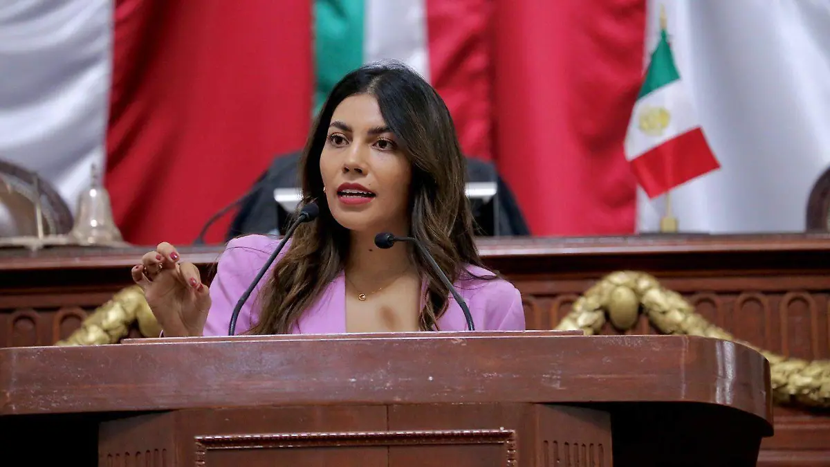 Diputada Frida Jimena Guillén Ortiz