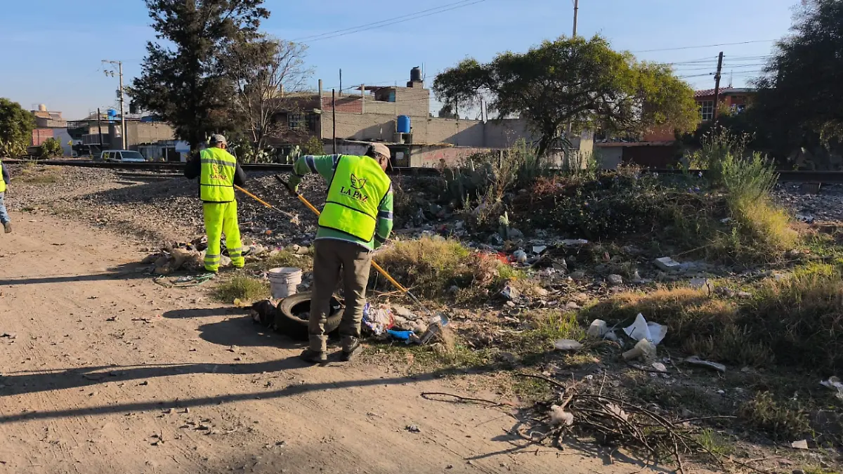 Captura de pantalla 2026-01-12 155142