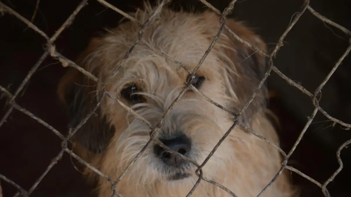 Captura de pantalla 2026-01-12 201208