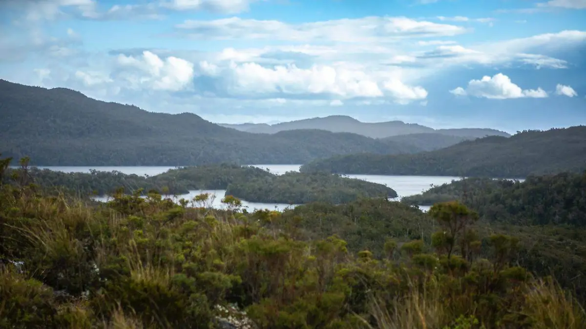 f017c776-99b6-4f81-bf5c-3f6be1bafc7d