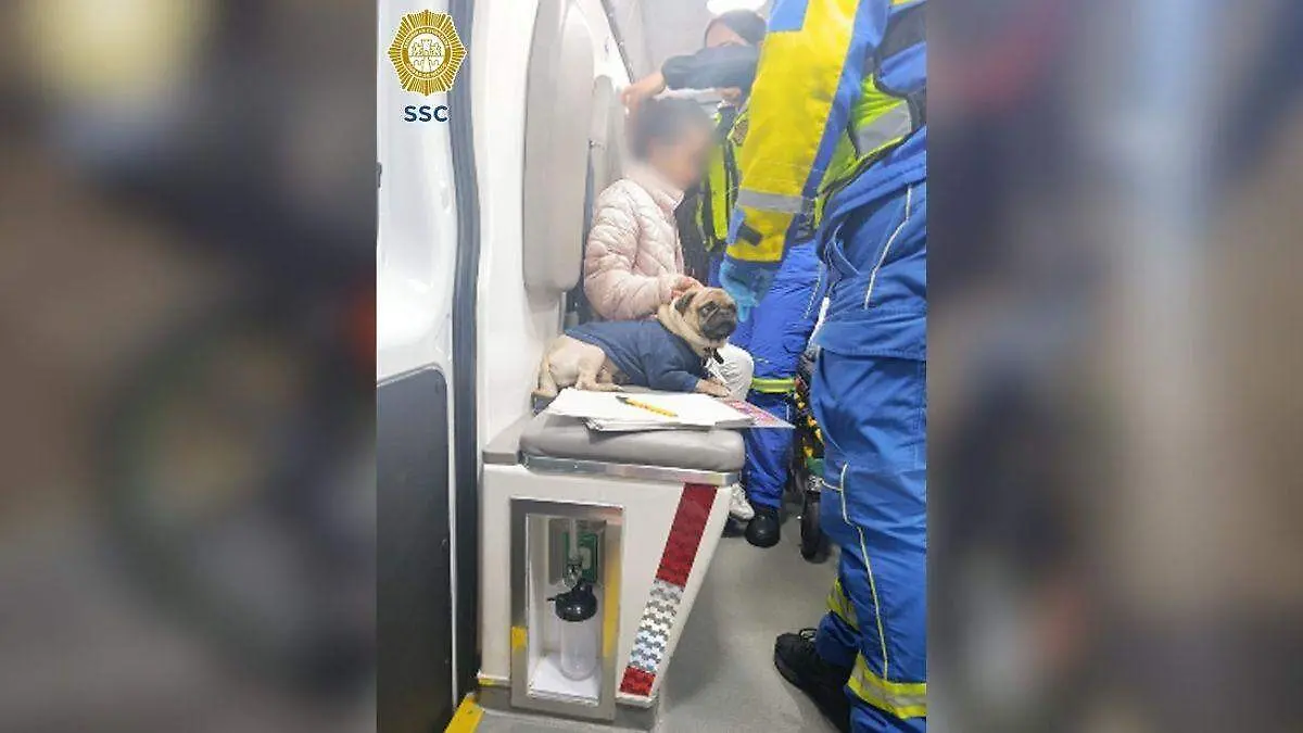 Diseño sin título (4)