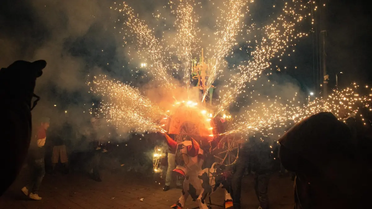 Captura de pantalla 2026-01-15 125113