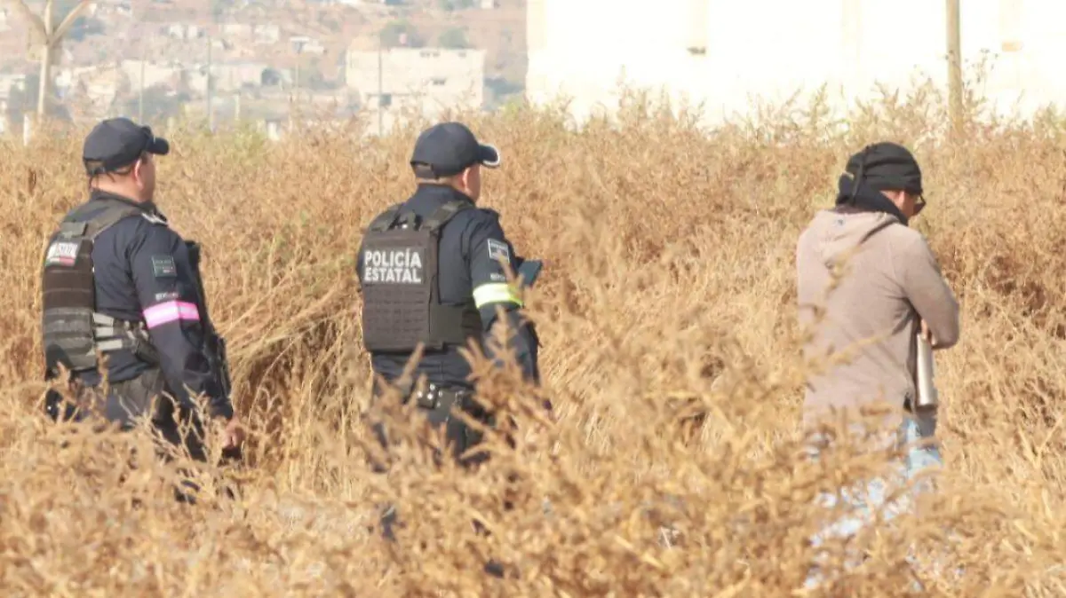 terreno de siembra delitos archivos LUIS BARRERA