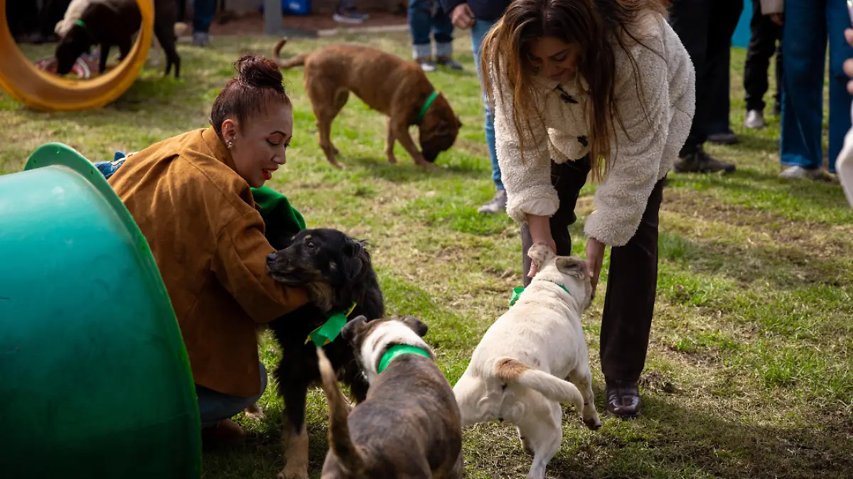 Captura de pantalla 2026-01-15 190750