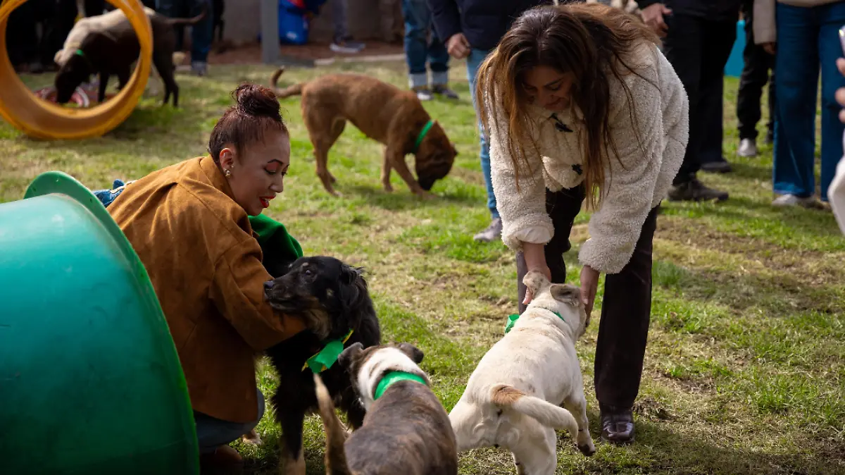 Captura de pantalla 2026-01-15 190750