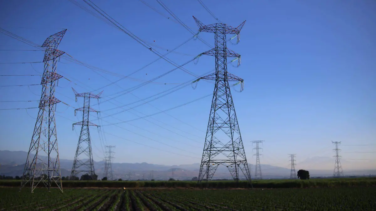 1056307_Sembradío Chile_web