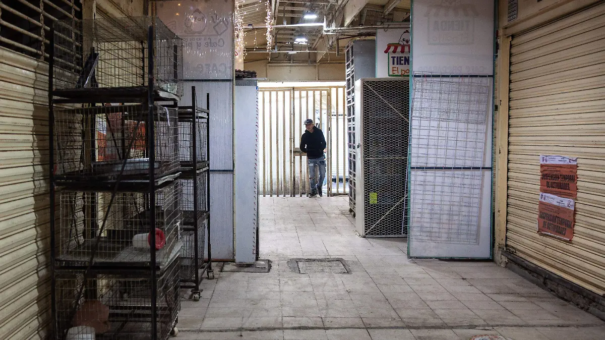 1063653_Prohibición venta animales Mercado Sonora_impreso