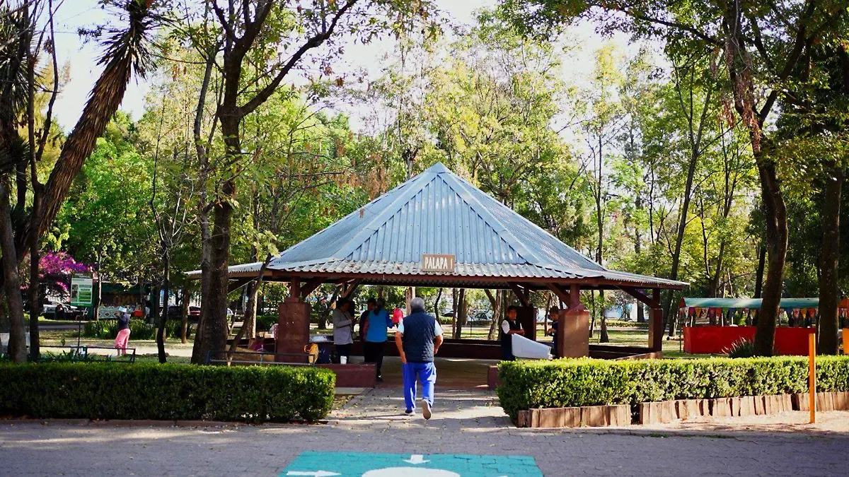 centro coyote Sedema