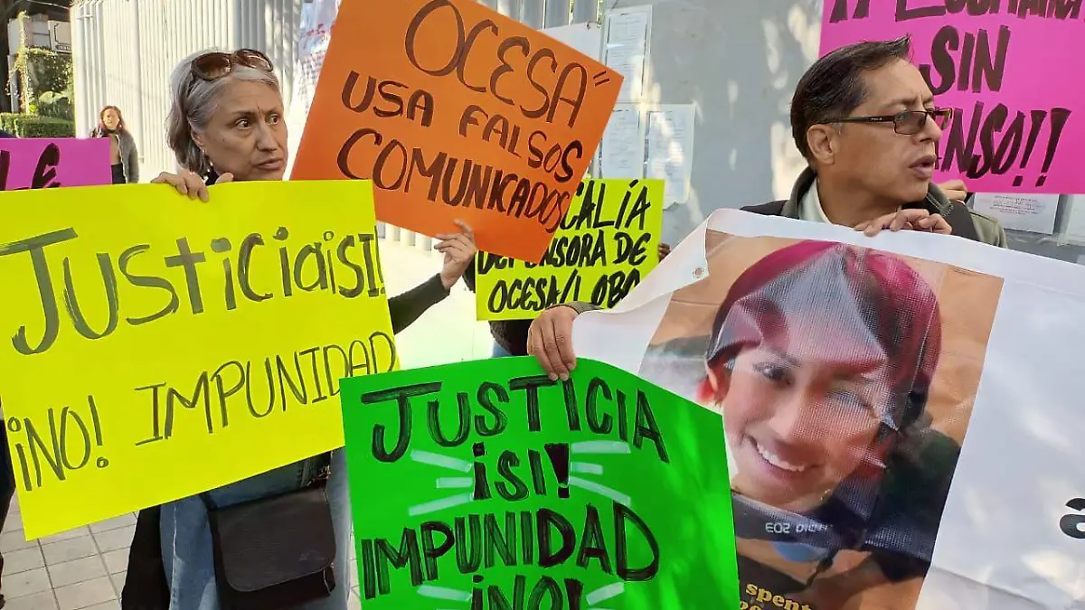 berenice festival DAVID DEOLARTE