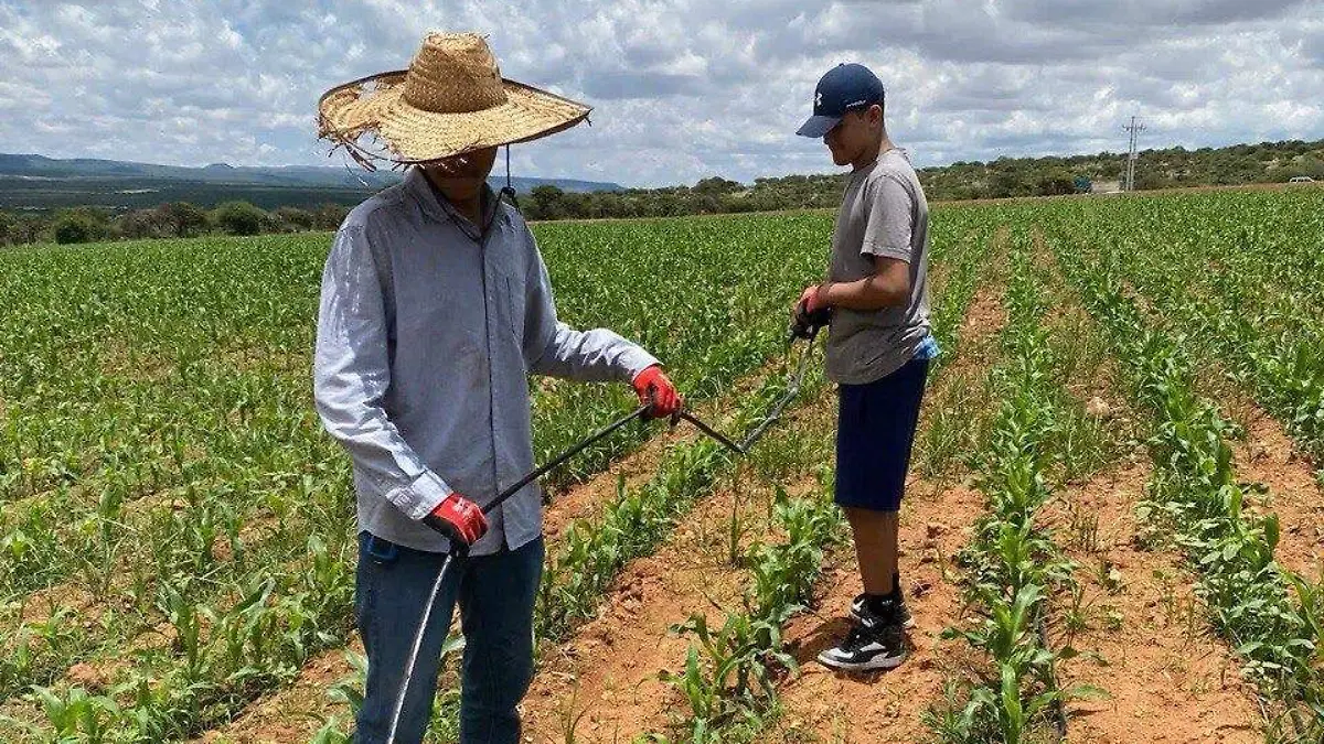 b2a39750-fe31-45d5-a5e0-e8106c669c57