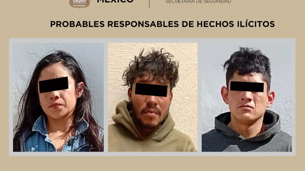 Captura de pantalla 2026-01-29 155305