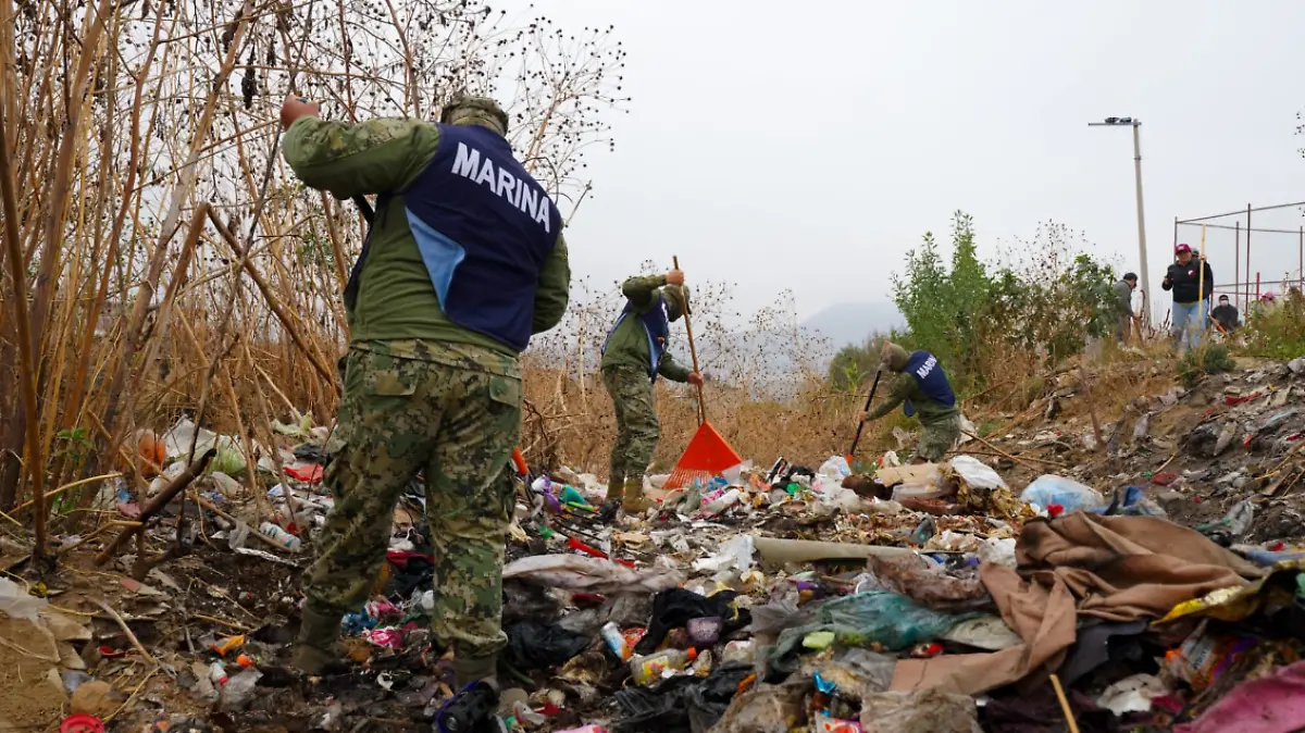 Captura de pantalla 2026-02-01 120747