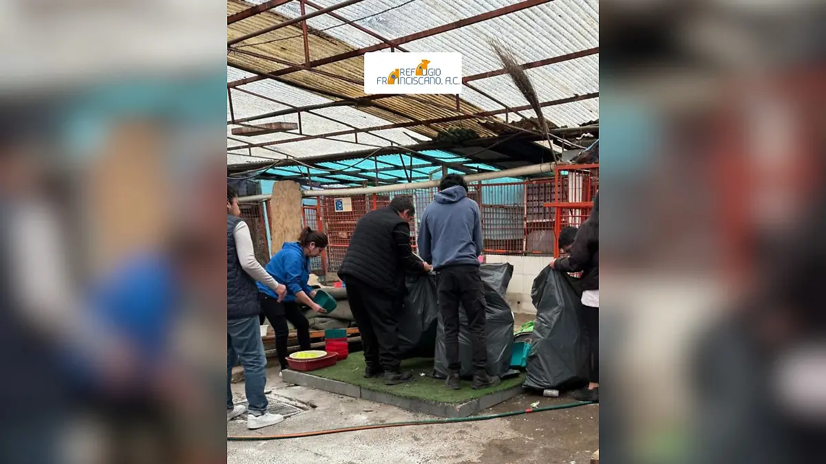 refugio-franciscano3