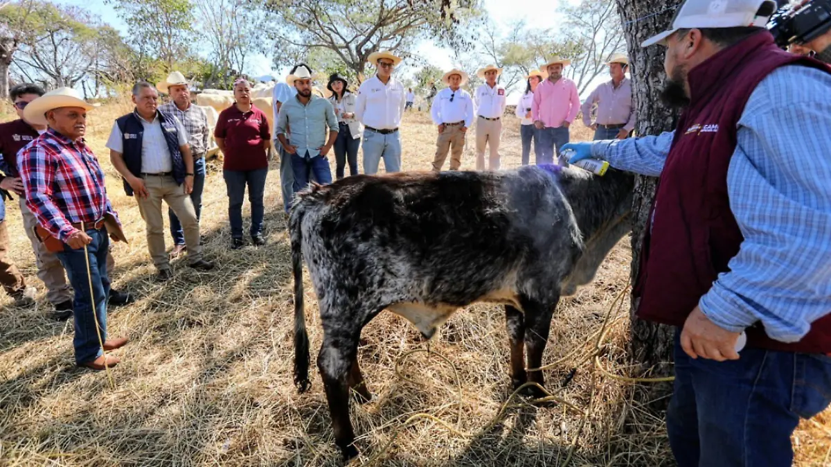 Captura de pantalla 2026-02-01 155612