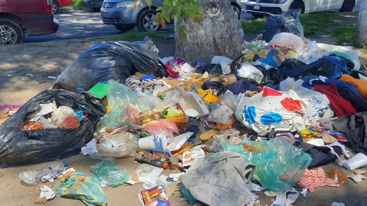 Captura de pantalla 2026-02-04 135823