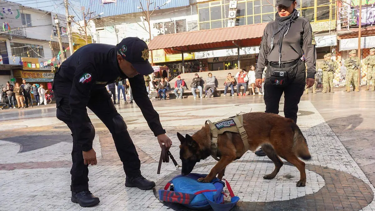 WhatsApp Image 2026-02-04 at 2.23.53 PM