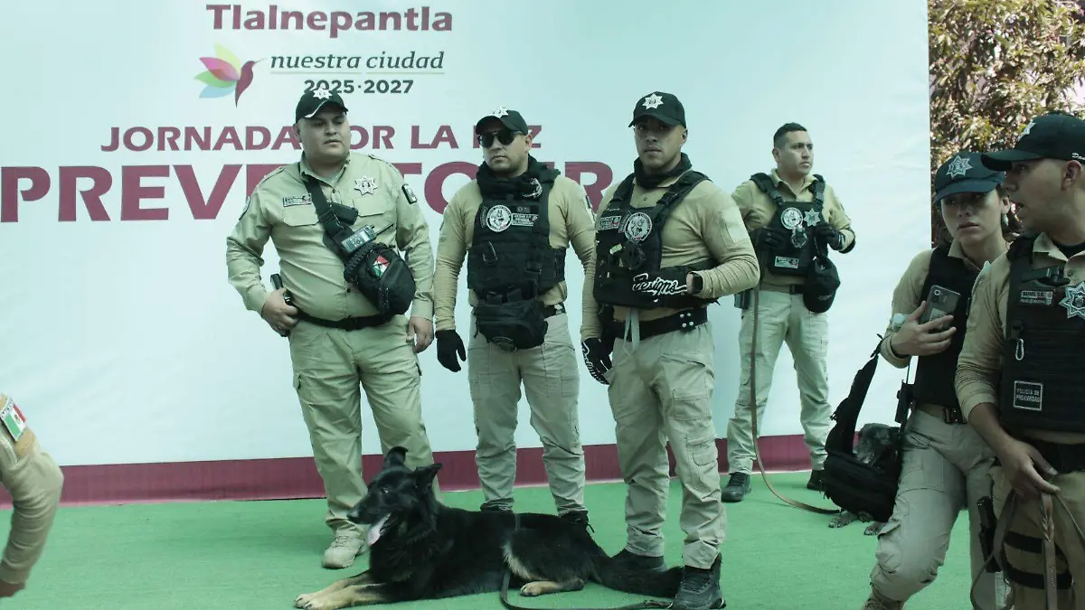 anubis perro policia tlalnepantla