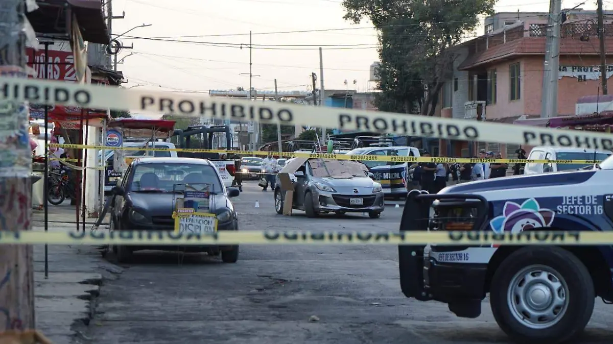 WhatsApp Image 2026-02-07 at 20.30.36