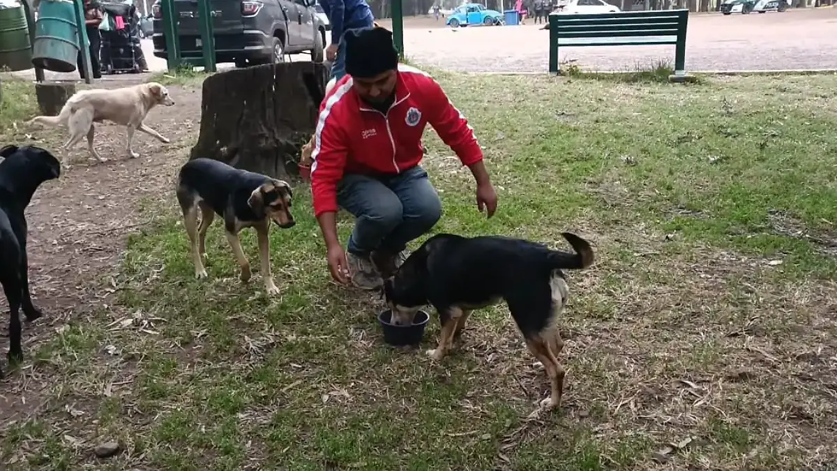 Captura de pantalla 2026-02-09 115944