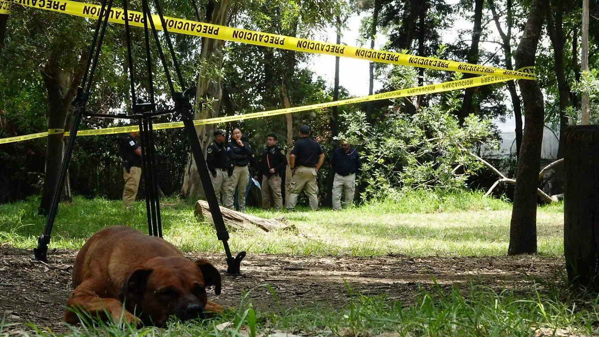 WhatsApp Image 2026-02-10 at 10.19.53 AM