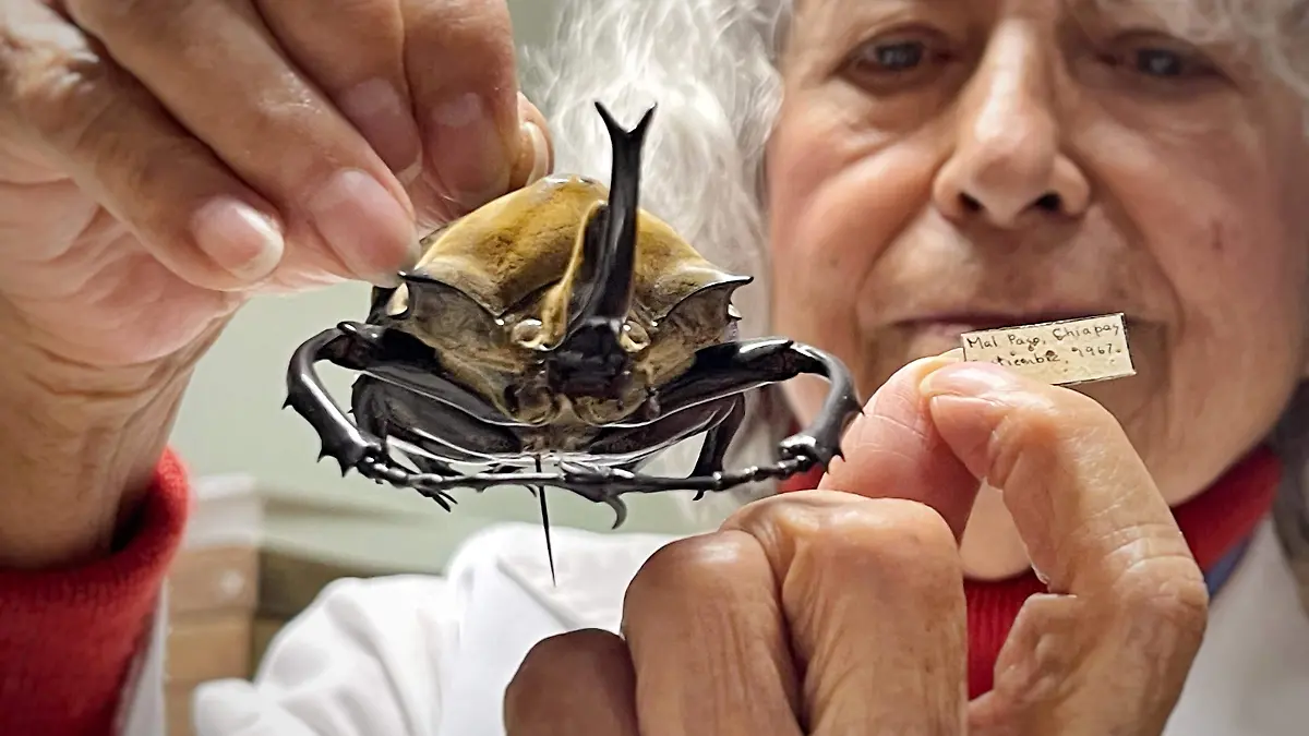 WhatsApp Image 2026-02-10 at 18.54.17