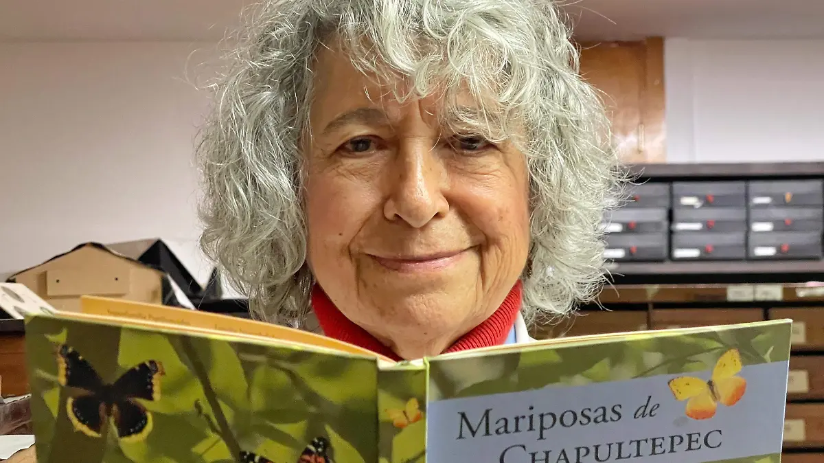 María Eugenia Díaz Batres: La bióloga que desafió a su época para coleccionar 55 mil insectos