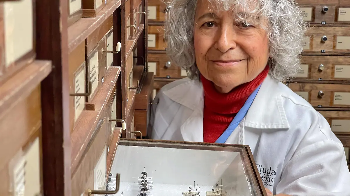 María Eugenia Díaz Batres: La bióloga que desafió a su época para coleccionar 55 mil insectos