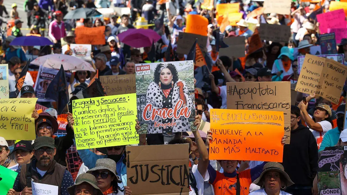 1065963_Apoyo Refugio Franciscano_web