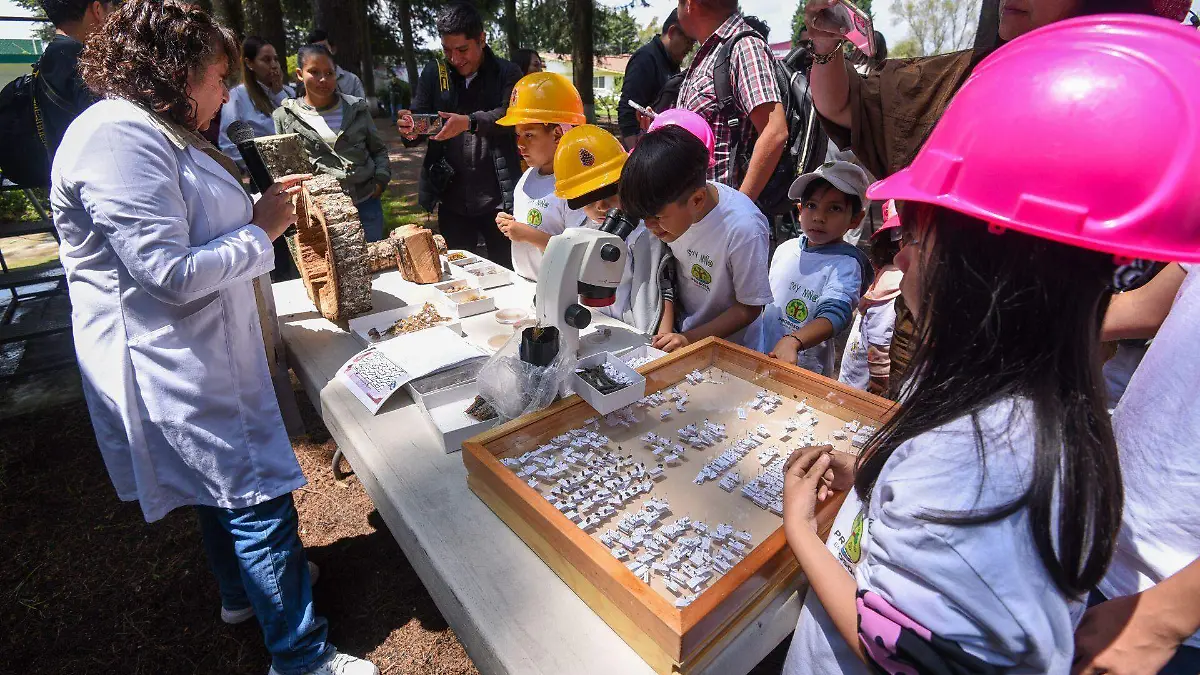 1044211_Proyecto Bosque Escuela PROBOSQUE_web