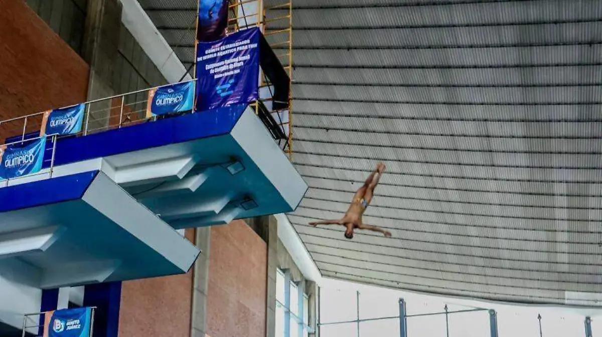 WhatsApp Image 2026-02-11 at 09.20.13 (1)