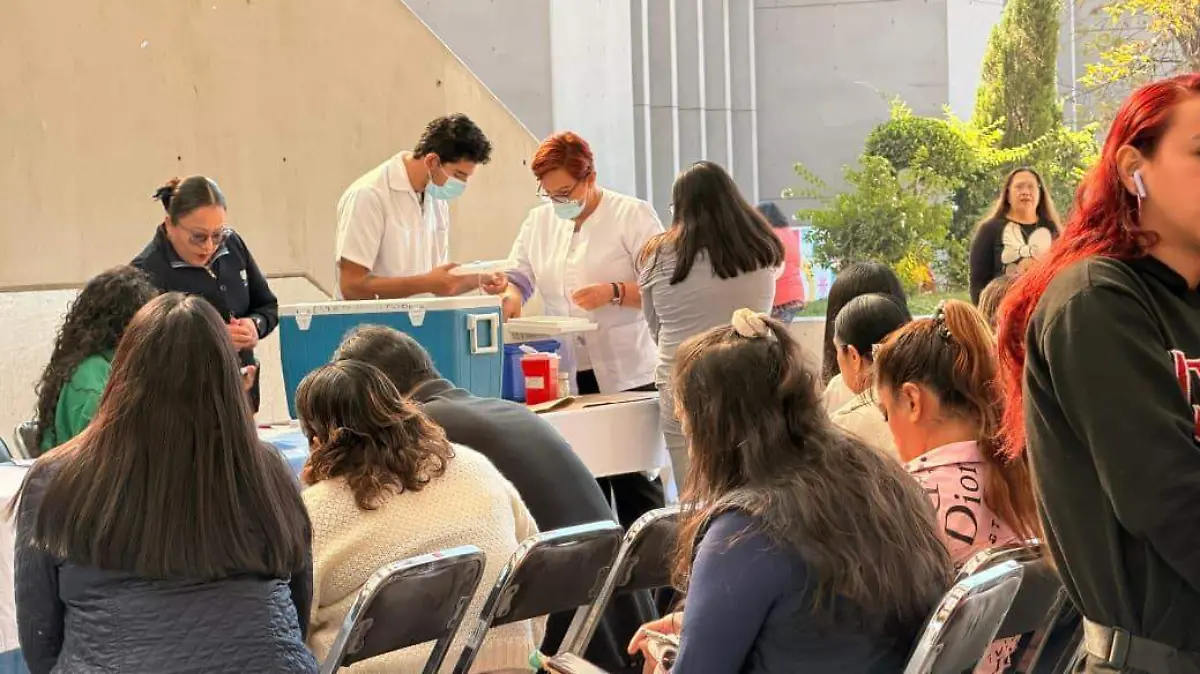 WhatsApp Image 2026-02-11 at 10.30.57