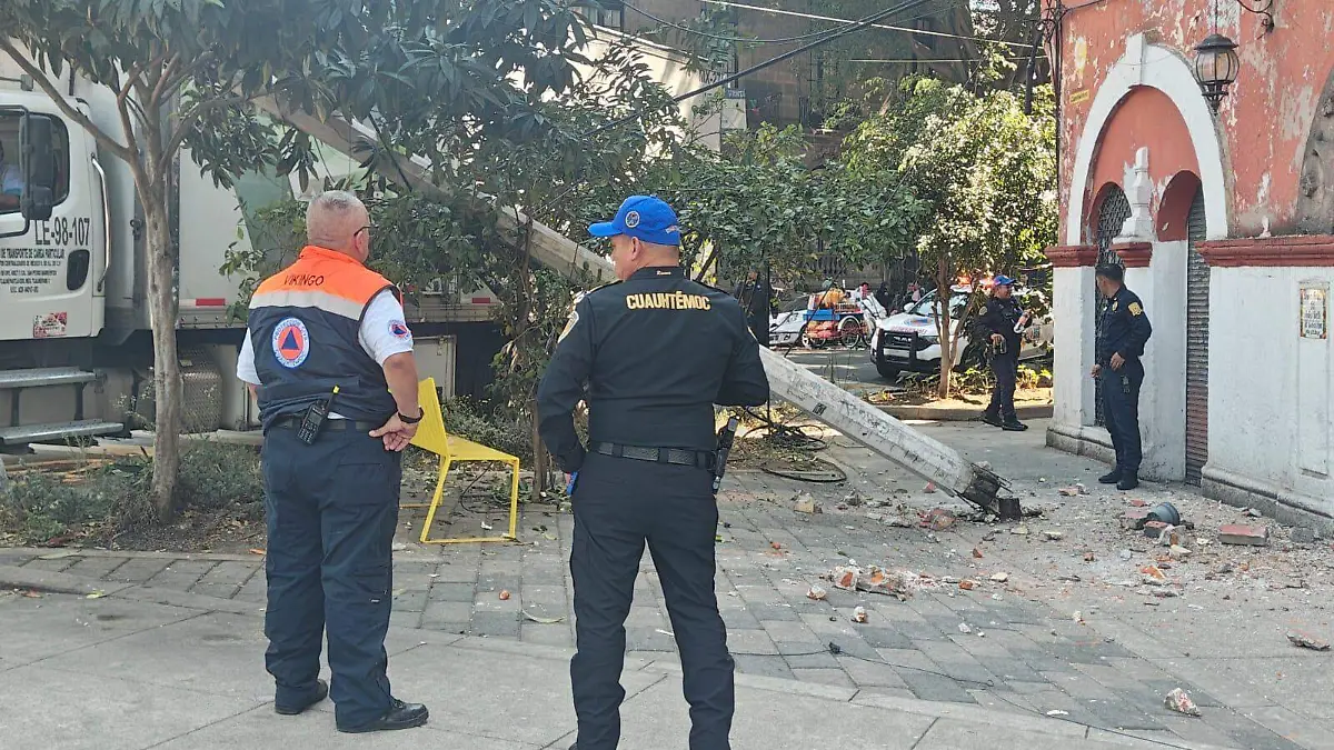 WhatsApp Image 2026-02-11 at 11.51.07 AM