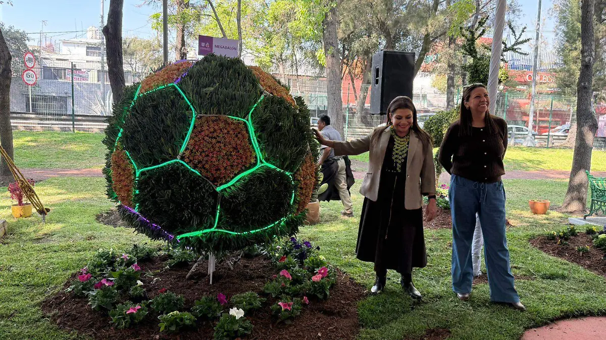 WhatsApp Image 2026-02-11 at 11.51.19