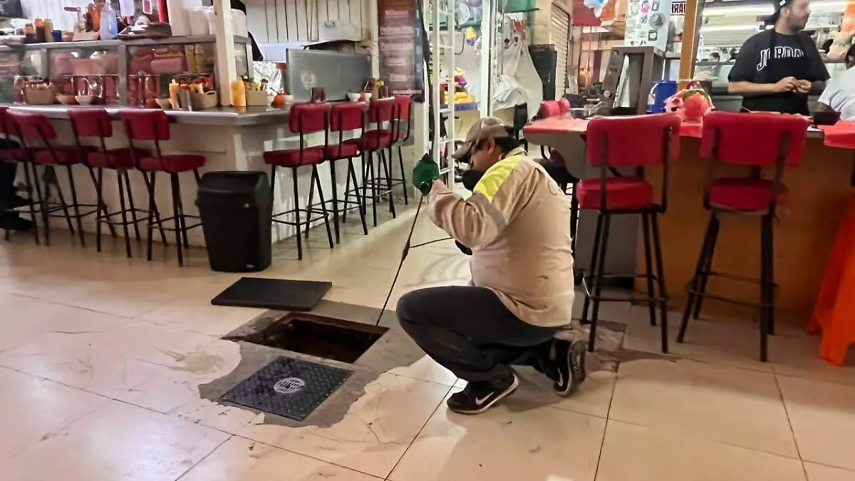 WhatsApp Image 2026-02-11 at 3.10.39 PM