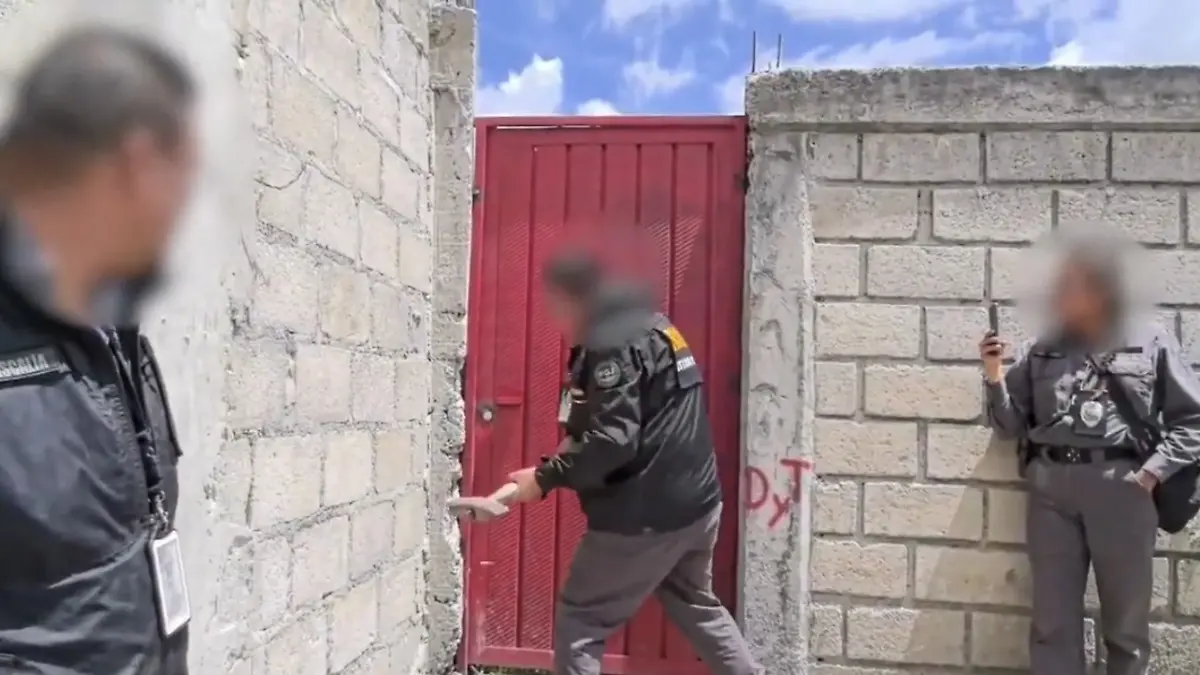 Captura de pantalla 2026-02-12 140142