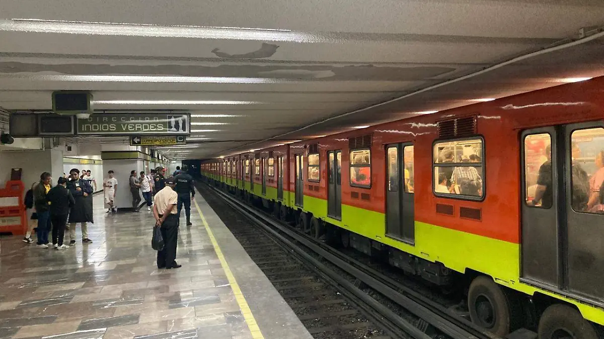 WhatsApp Image 2026-02-13 at 20.22.18