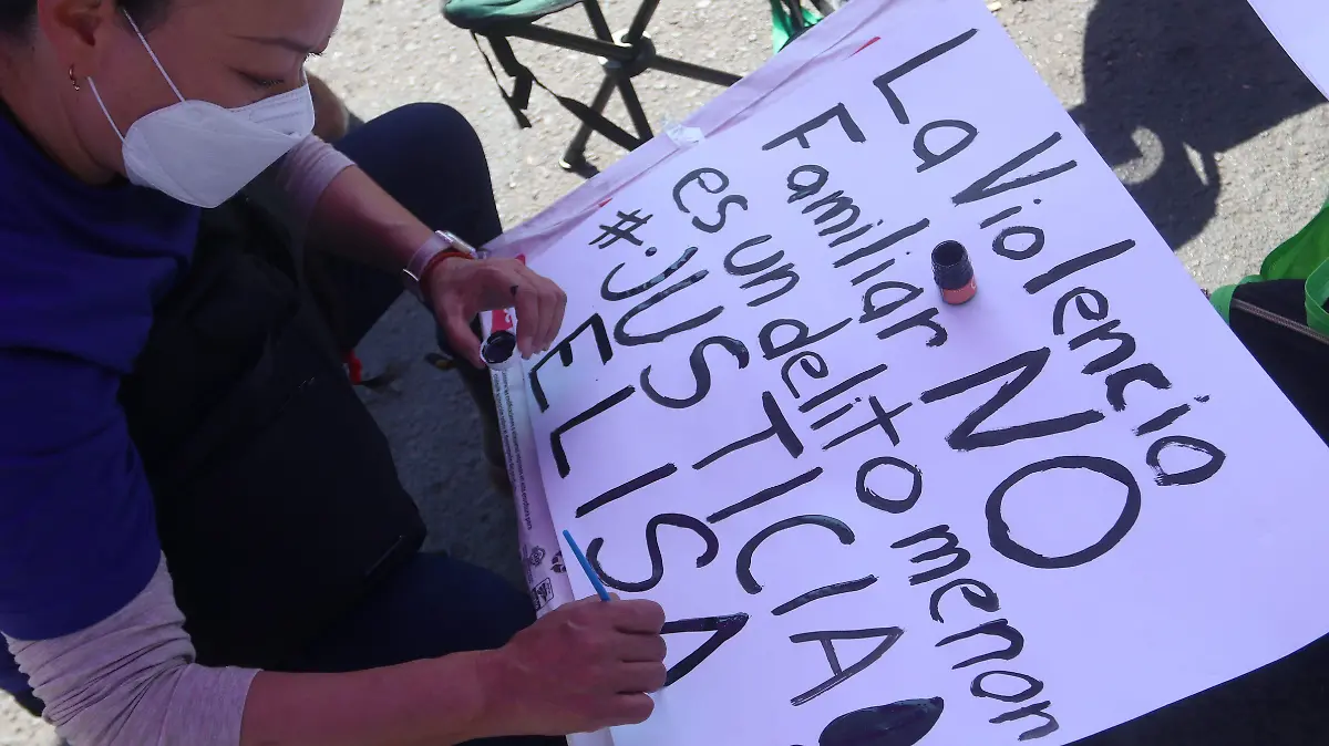 846459_Audiencia Elisa Xolalpa_impreso