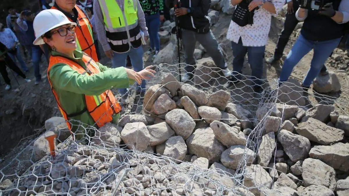 WhatsApp Image 2026-02-16 at 15.40.46