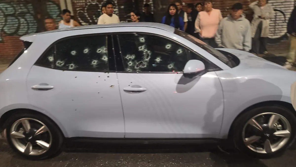 WhatsApp Image 2026-02-16 at 20.11.25