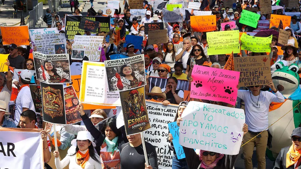 1065962_Apoyo Refugio Franciscano_web