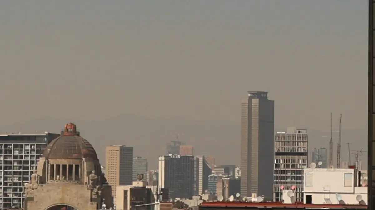 Captura de pantalla 2026-02-19 122317