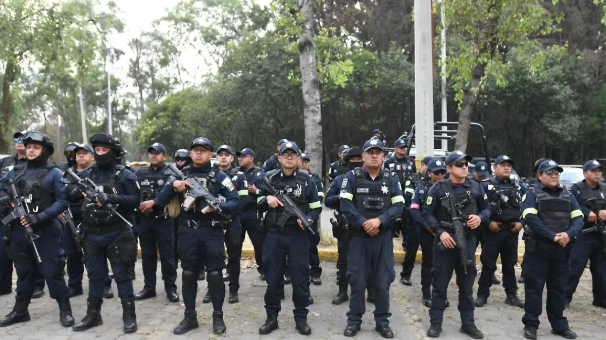 Captura de pantalla 2026-02-19 181758