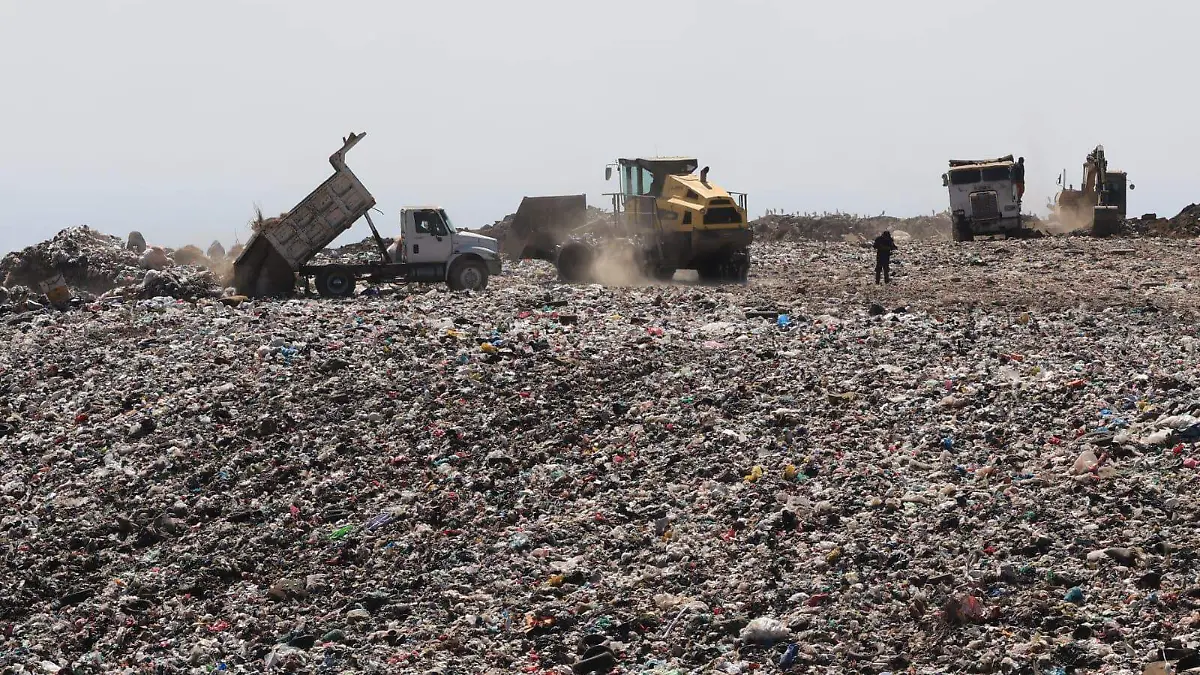 WhatsApp Image 2026-02-20 at 2.20.41 PM